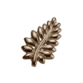 Stow 9ct Rose NZ Fern Charm image
