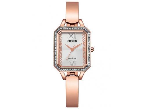 Citizen Ladies Eco Drive Watch image