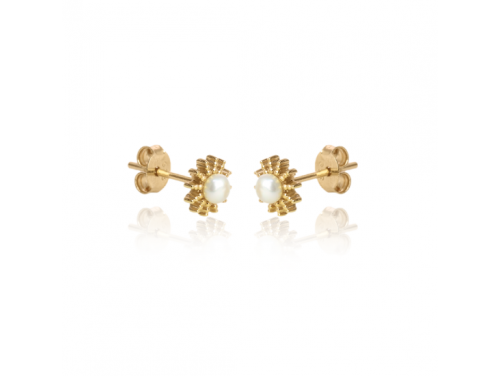 Evolve Stg Gold Plated 'My Sunshine' Earrings image