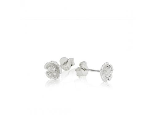 Evolve Stg Buttercup Earrings image