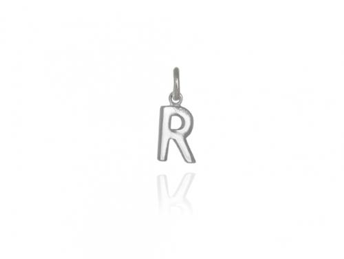 Evolve Stg Initial R Charm image