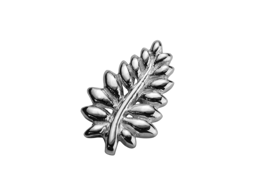 Stow Stg NZ Fern Charm image