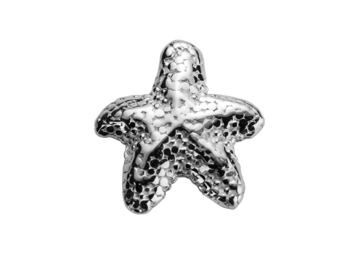Stow Stg Starfish Charm image
