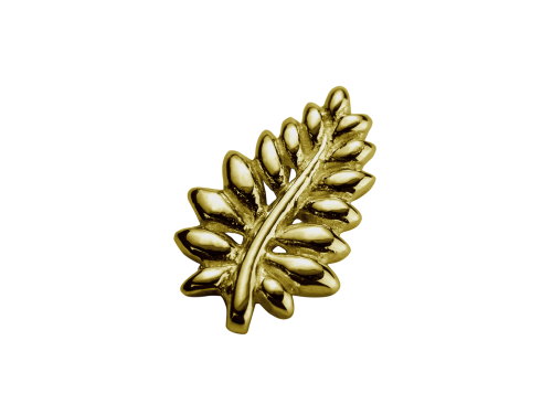 Stow 9ct NZ Fern Charm image