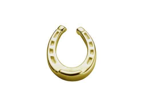 Stow 9ct Lucky Horseshoe Charm image