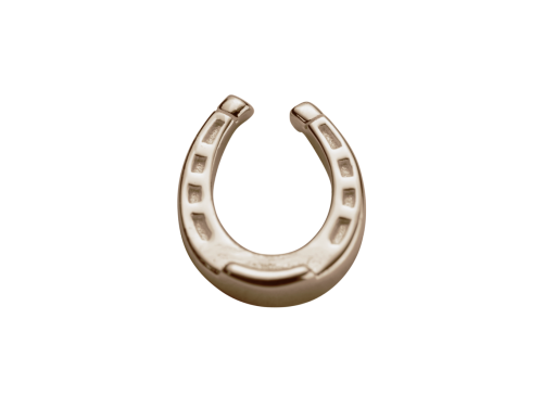 Stow 9ct Rose Lucky Horseshoe Charm image