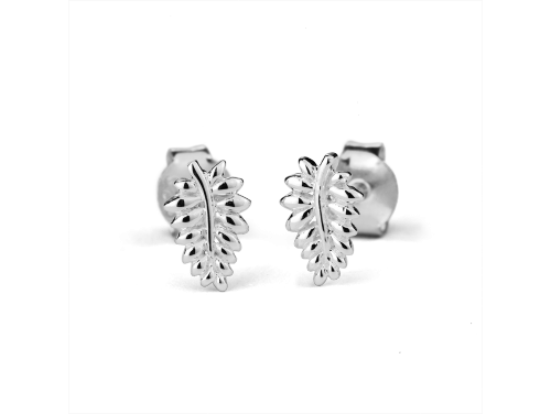 Stow Sterling Silver NZ Fern Earrings image