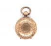 Rolled Gold Soverign Holder image