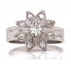 Platinum Diamond Cluster Ring TDW 0.30ct image
