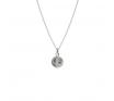 Evolve Stg Fantail Coin Pendant image