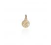 LKD553 Tui Coin Pendant Charm Gold Vermeil 550x550JPG image