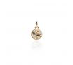LKD554 Fantail Coin Pendant Charm Gold Vermeil 550x550JPG image