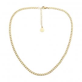 Ellani Gold Plated Stainless Steel Curb Chain image