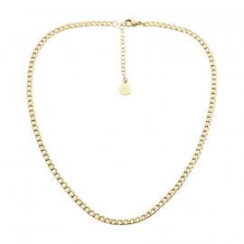 Ellani Gold Plated Stainless Steel Curb Chain image