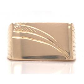 9ct Rectangle Engraved Signet Ring image