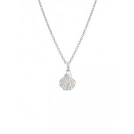 Evolve Stg CZ Seashell Coin Pendant image