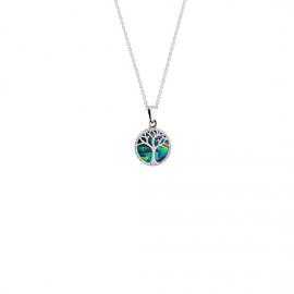 Evolve Stg Paua Tree Of Life Necklace image