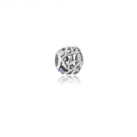 Evolve Stg CZ February Birthstone Bead image