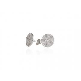 Evolve Stg CZ Kina Coin Studs image