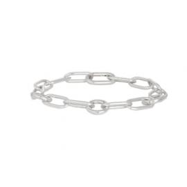 Evolve Stg 19cm Statement Link Bracelet  image