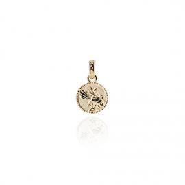 Evolve Stg Gold Plated Fantail Coin Charm image