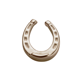 Stow 9ct Rose Lucky Horseshoe Charm image