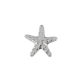 Stow Stg CZ Starfish Charm image