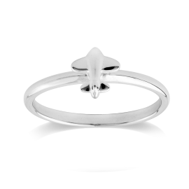 Stow Sterling Silver Aeroplane Ring image