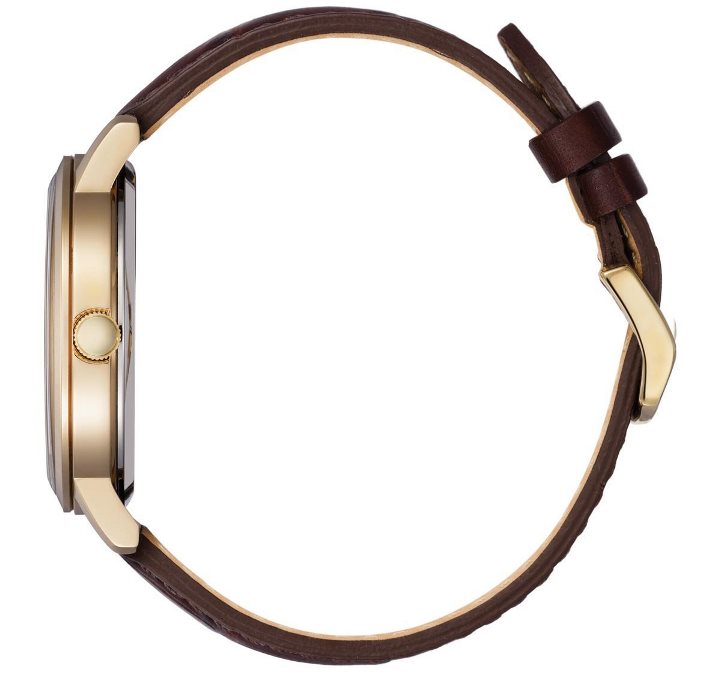 Citizen gents eco drive watch
