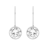 Load image into Gallery viewer, Ellani Stainless Steel CZ Hook Earrings
