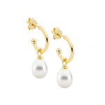 Load image into Gallery viewer, Ellani Stg Gold Plated Freshwater Pearl Drop Earrings
