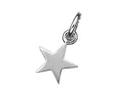 Load image into Gallery viewer, Karen Walker Stg Star Charm
