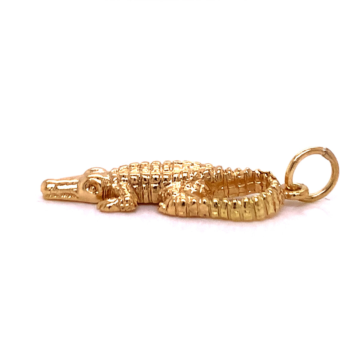 371659218ctalligatorcharm