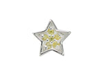 Load image into Gallery viewer, Stow Stg Yellow CZ Star Charm
