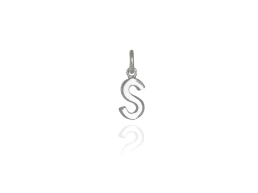 Evolve Stg Initial S Charm