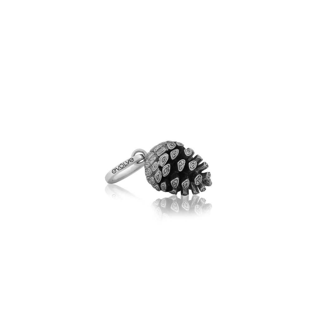 Evolve Stg Pinecone Charm Bead