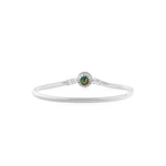 Load image into Gallery viewer, Evolve Stg Paua Charm Bracelet
