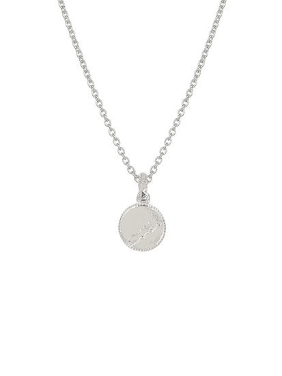 Evolve Stg NZ Map Coin Pendant