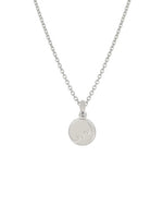Load image into Gallery viewer, Evolve Stg NZ Map Coin Pendant
