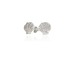 Load image into Gallery viewer, Evolve Stg CZ Seashell Coin Studs
