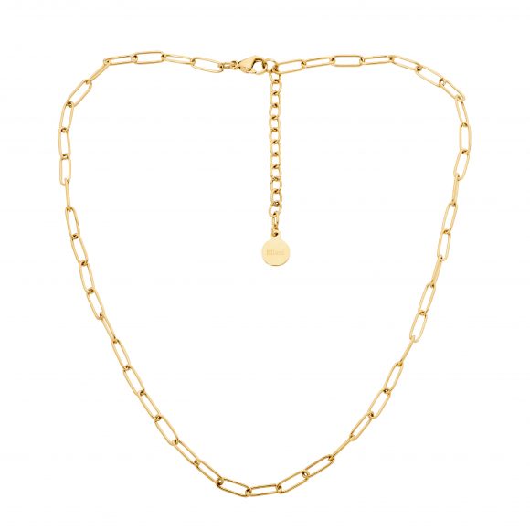Ellani Gold Plated Stainless Steel Paperclip Chain