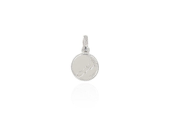 Evolve Stg NZ Map Coin Charm Drop Bead