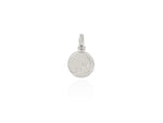 Load image into Gallery viewer, Evolve Stg NZ Map Coin Charm Drop Bead

