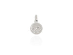 Load image into Gallery viewer, Evolve Stg Kiwi Coin Charm Drop Bead
