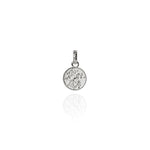 Load image into Gallery viewer, Evolve Stg Tui Coin Pendant
