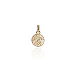 Load image into Gallery viewer, Evolve Stg Gold Plated Tui Coin Charm
