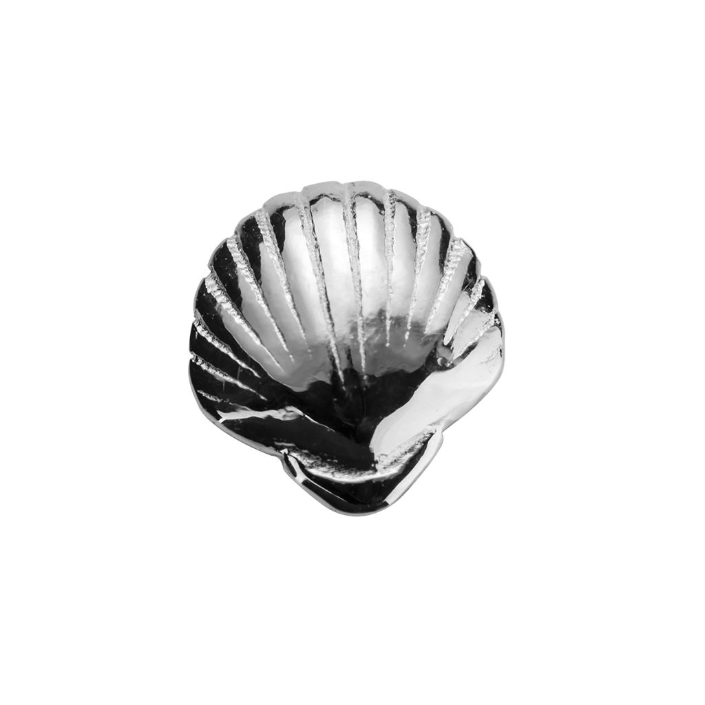 S000126 seashell 420026 c