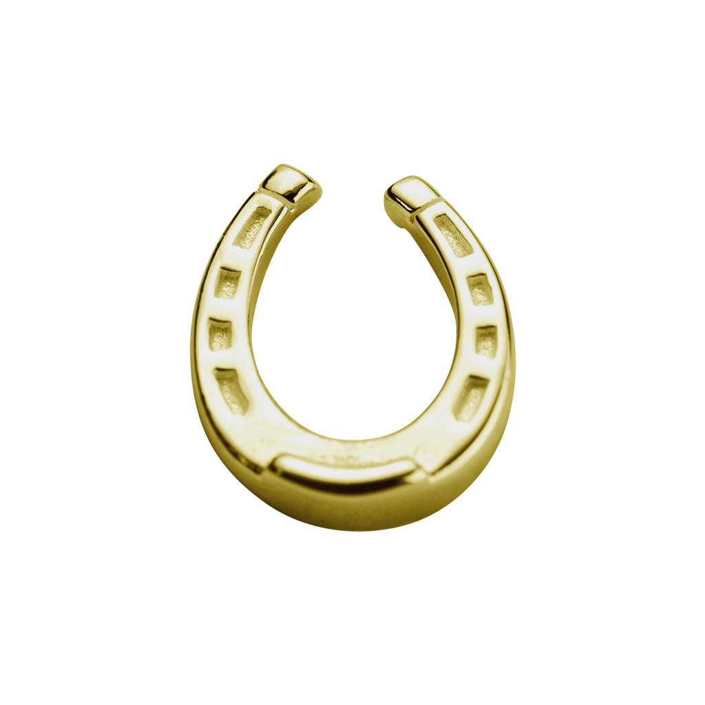 S001118 gold lucky horseshoe 420103
