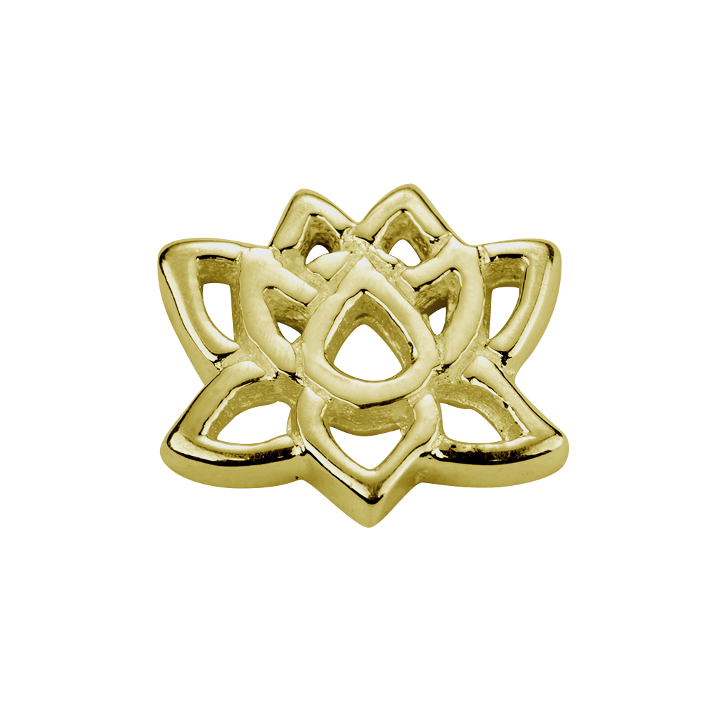 S001156 lotus flower 420140