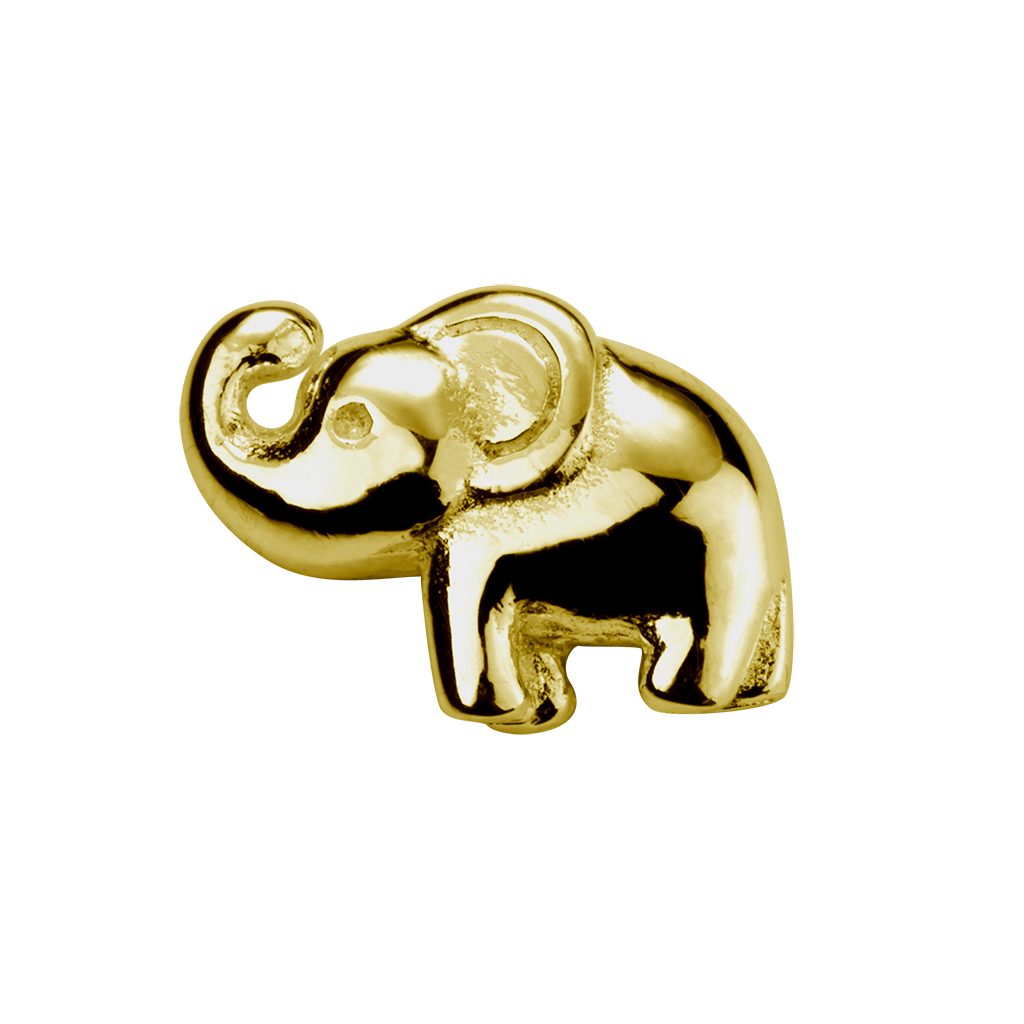 S001158 elephant 420139